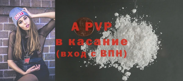 индика Медногорск