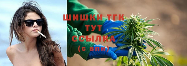 индика Медногорск