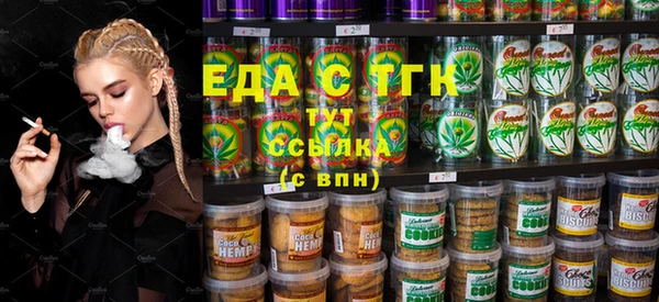 индика Медногорск
