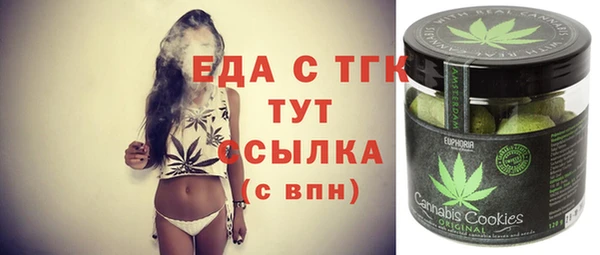 индика Медногорск