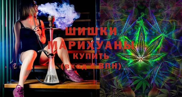 индика Медногорск