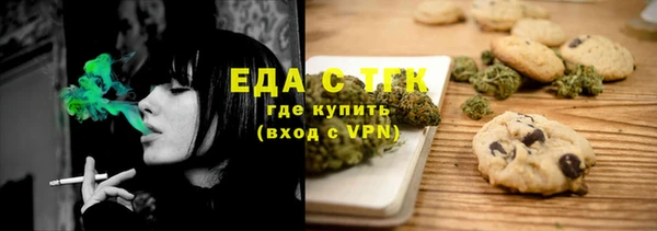 индика Медногорск