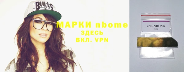 индика Медногорск