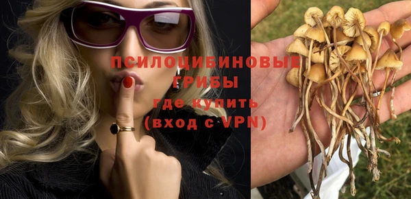 индика Медногорск