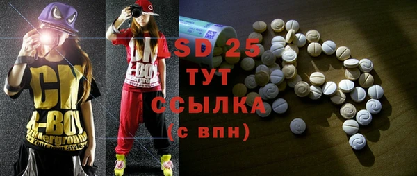 индика Медногорск