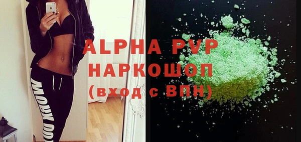 индика Медногорск