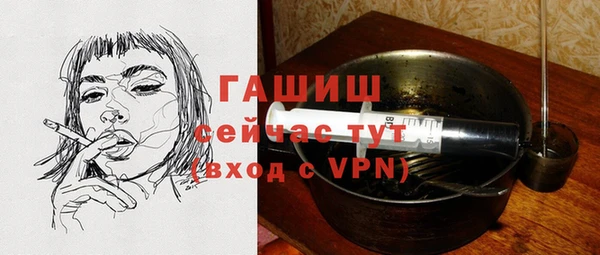 индика Медногорск