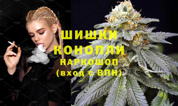 индика Медногорск