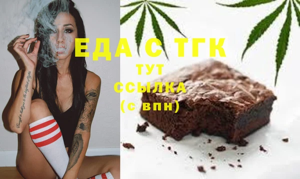 индика Медногорск