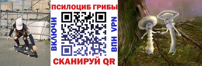 Купить где  Руза  Псилоцибиновые грибы мицелий 
